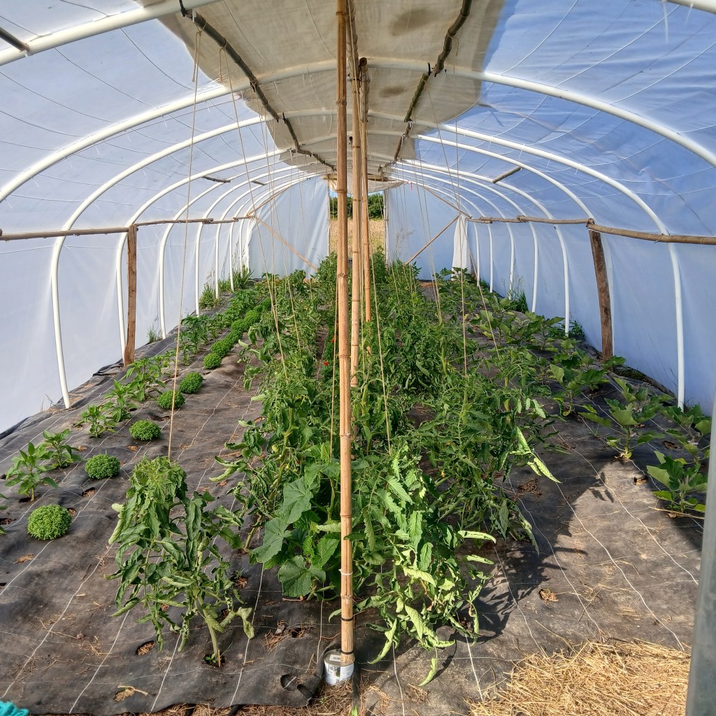 La ferme &laquo;&nbsp;Les Herbes Hautes&nbsp;&raquo;